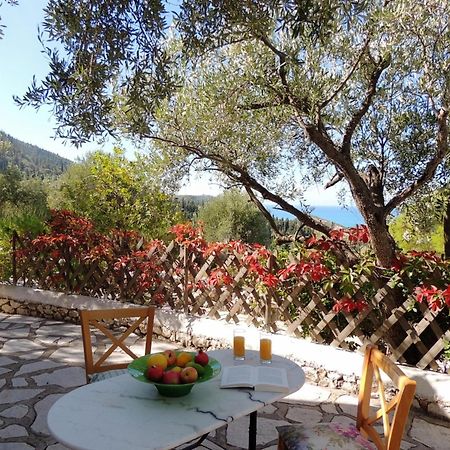 Agios Nikitas Villas المظهر الخارجي الصورة